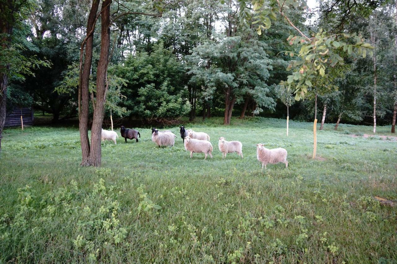 Ferien In Himmelpfort Bagian luar foto